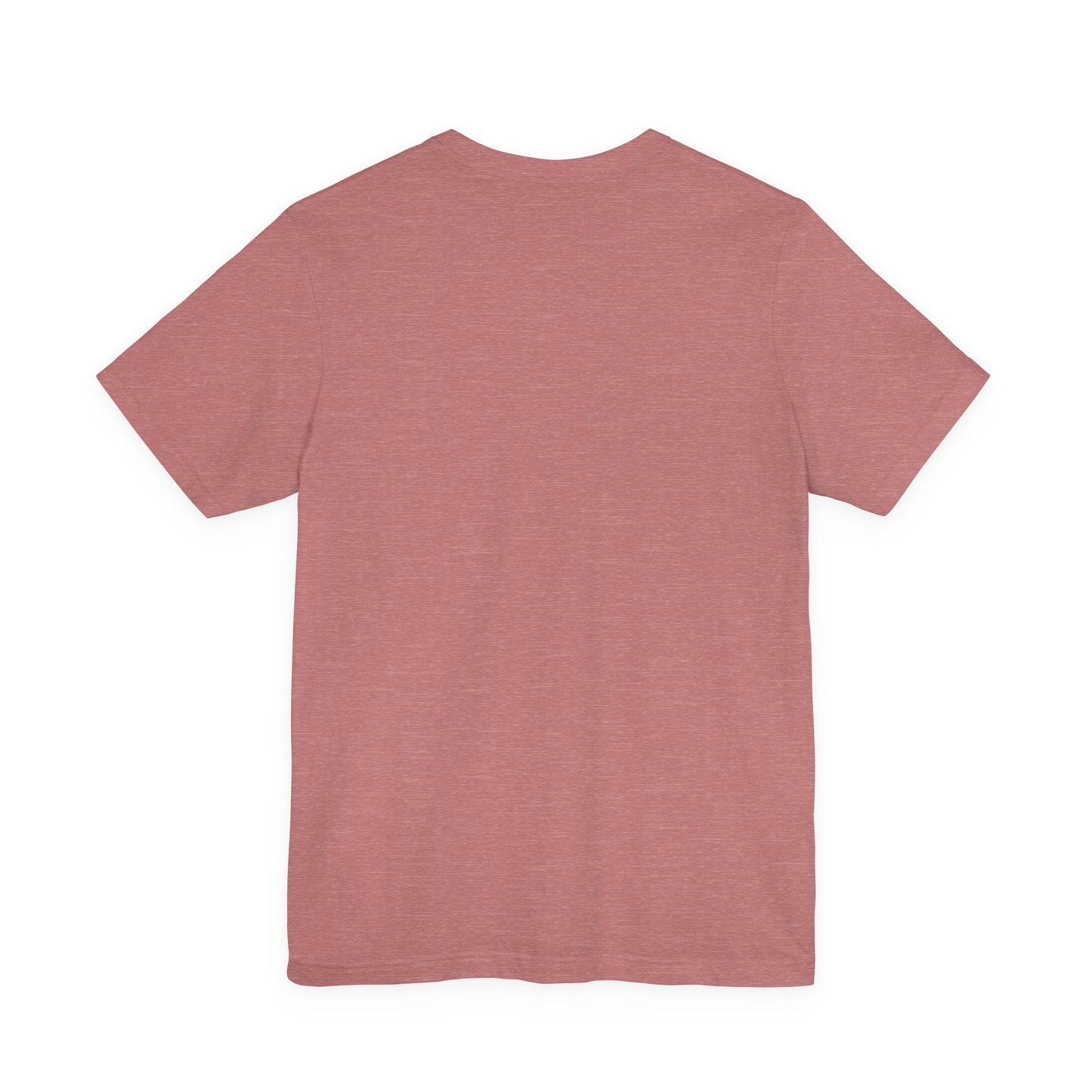 All You Need Is A Passport T-Shirt | Travel Tee Bella Canvas 3001