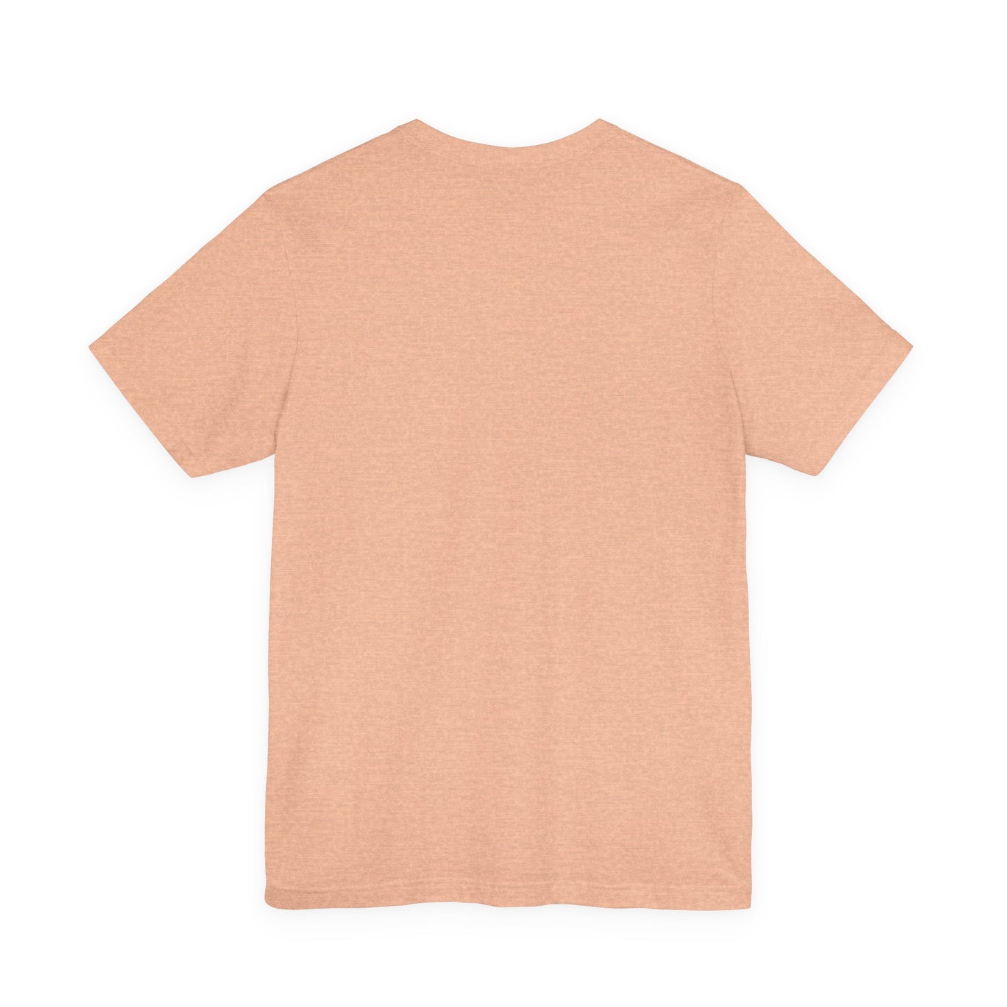 All You Need Is A Passport T-Shirt | Travel Tee Bella Canvas 3001