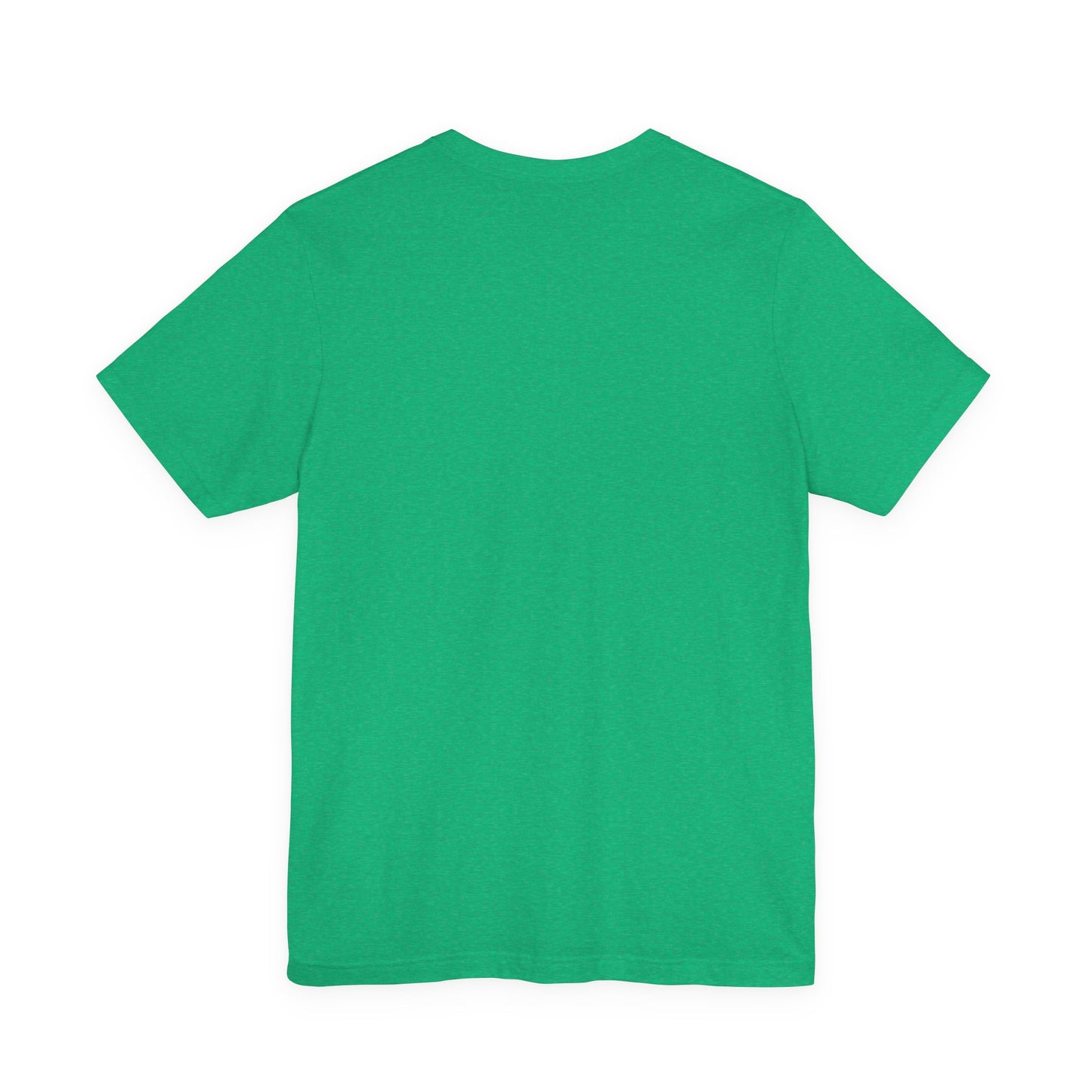 All You Need Is A Passport T-Shirt | Travel Tee Bella Canvas 3001